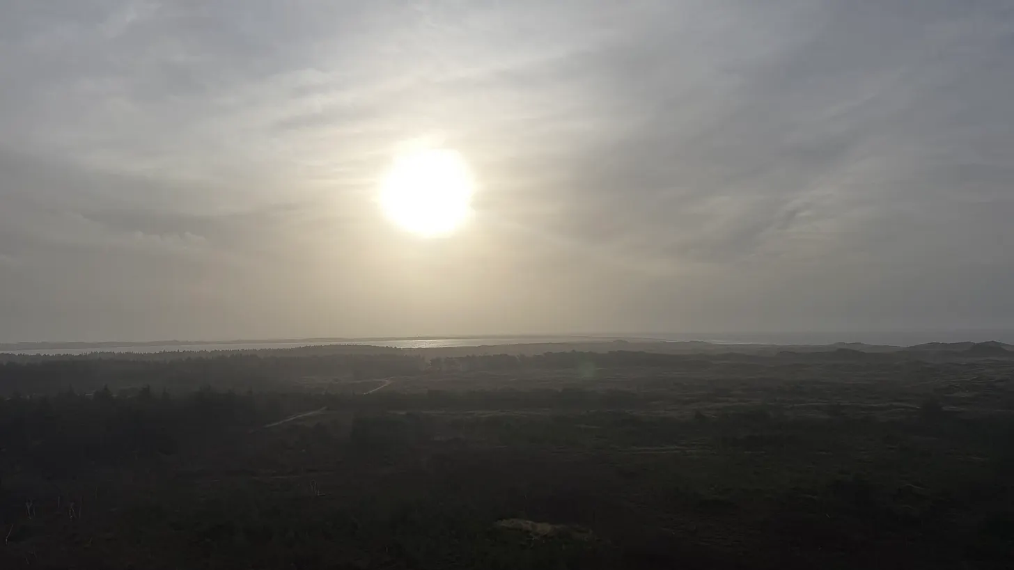 A wide, open heath stretching to a distant sea, under a soft sun veiled by high cloud.